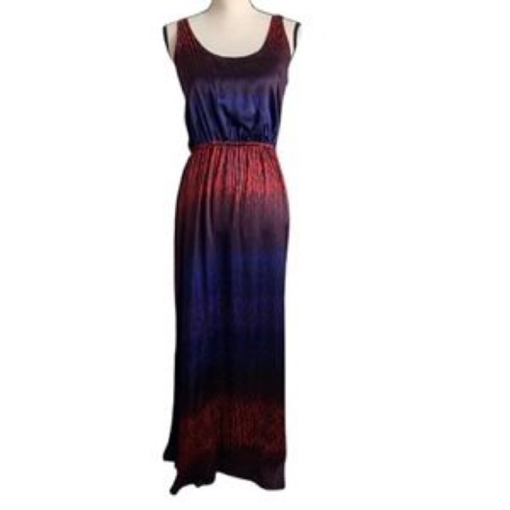 Club Monaco 100% silk Maxi Dress